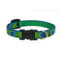 Petpalace 5 in. Tail Feathers 10 in.16 in. Adj. Collar PE800062